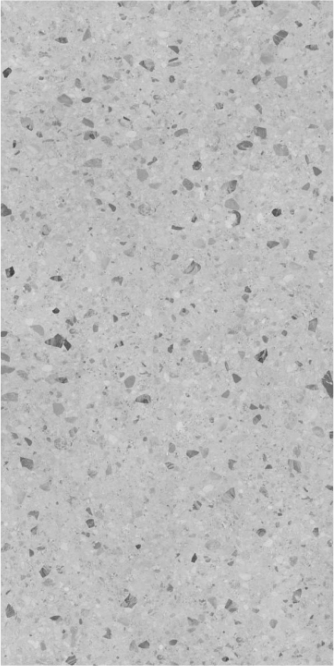 1001  Terrazzo 02